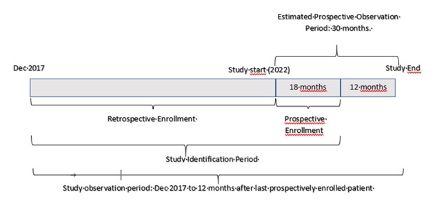 Schema of patients in the study.