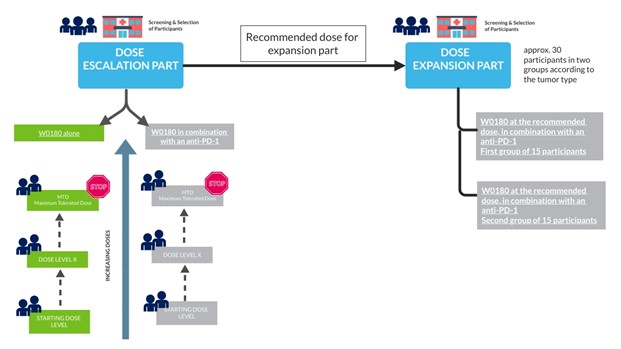 Schema of patients in the study.