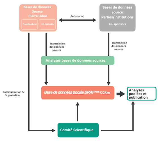 Encorafenib cancer colorectal métastatique avec mutation BRAFV600E